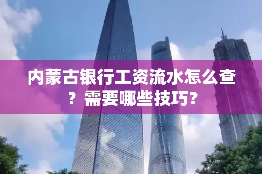 内蒙古银行工资流水怎么查？需要哪些技巧？