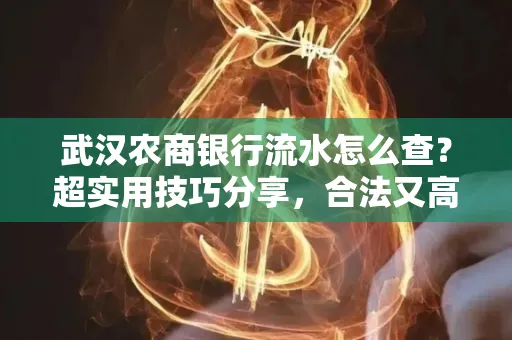 武汉农商银行流水怎么查？超实用技巧分享，合法又高效！