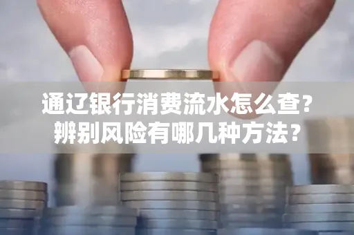 通辽银行消费流水怎么查？辨别风险有哪几种方法？