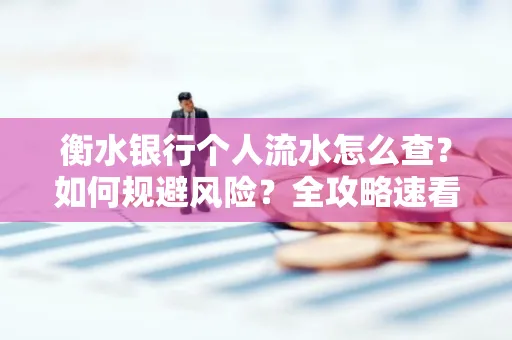 衡水银行个人流水怎么查？如何规避风险？全攻略速看