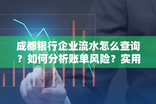 成都银行企业流水怎么查询？如何分析账单风险？实用指南