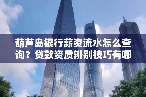 葫芦岛银行薪资流水怎么查询？贷款资质辨别技巧有哪些？