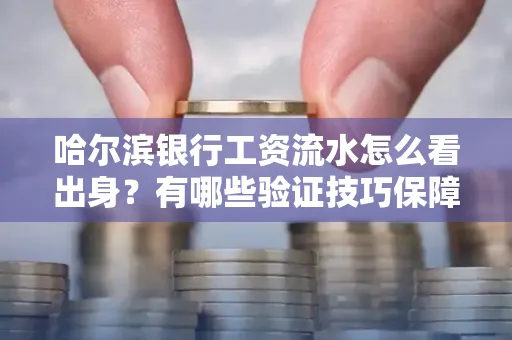 哈尔滨银行工资流水怎么看出身？有哪些验证技巧保障贷款过关？