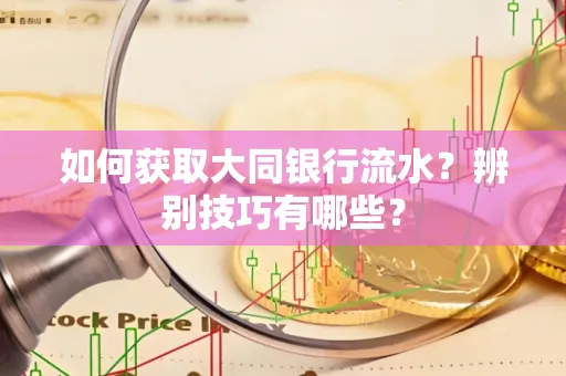 如何获取大同银行流水？辨别技巧有哪些？