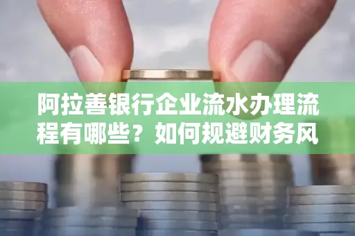 阿拉善银行企业流水办理流程有哪些？如何规避财务风险提升效率？
